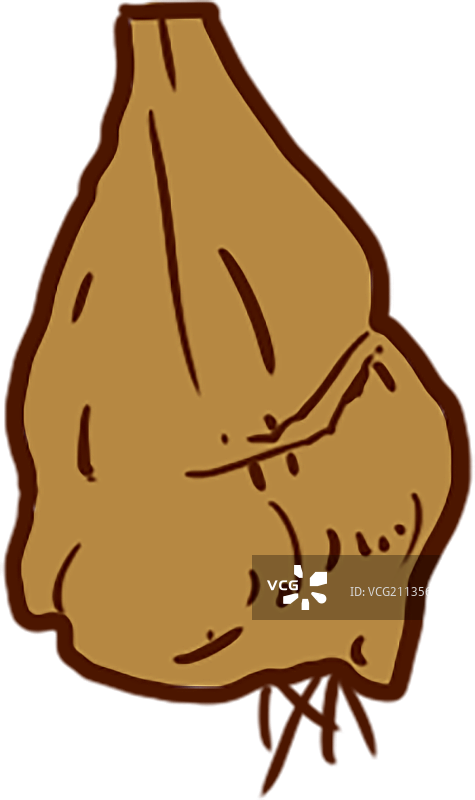 卡通手绘山慈菇图片素材