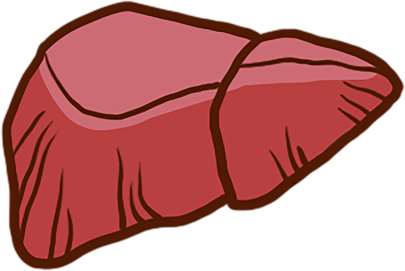 卡通手绘食物猪肝图片素材