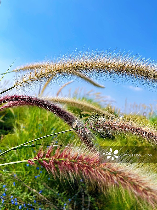 原生态风景图片素材