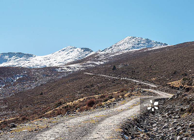 高原雪山森林中的越野道路图片素材