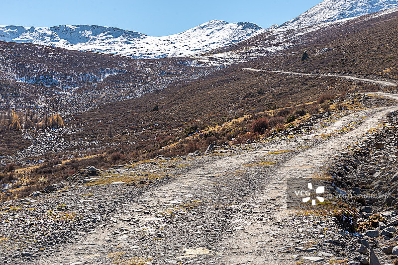 高原雪山森林中的越野道路图片素材