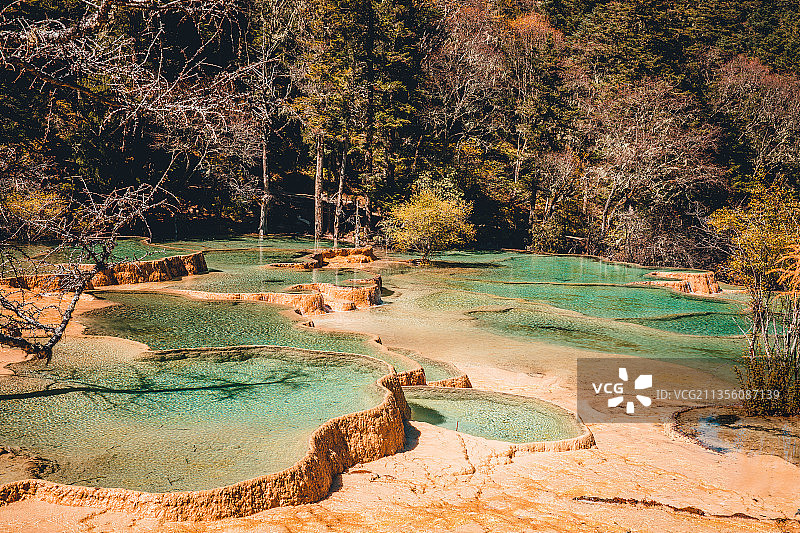 黄龙国家级风景区—争艳池秋景图片素材