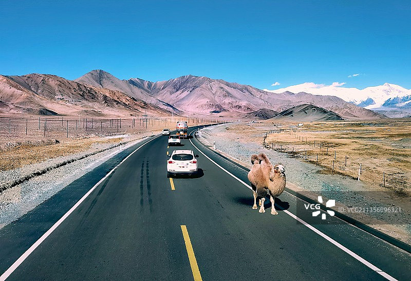 逆行者图片素材