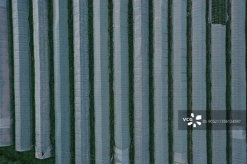 上海刘行顾村公园城市风光图片素材