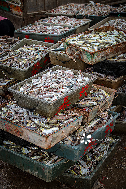 中国广东省揭阳市惠来县神泉镇神泉渔港图片素材