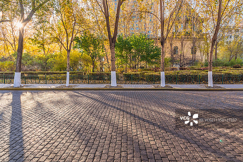 哈尔滨斯大林公园的园林和道路图片素材