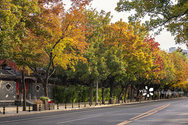 深秋秋意盎然色彩缤纷的北京光华路图片素材