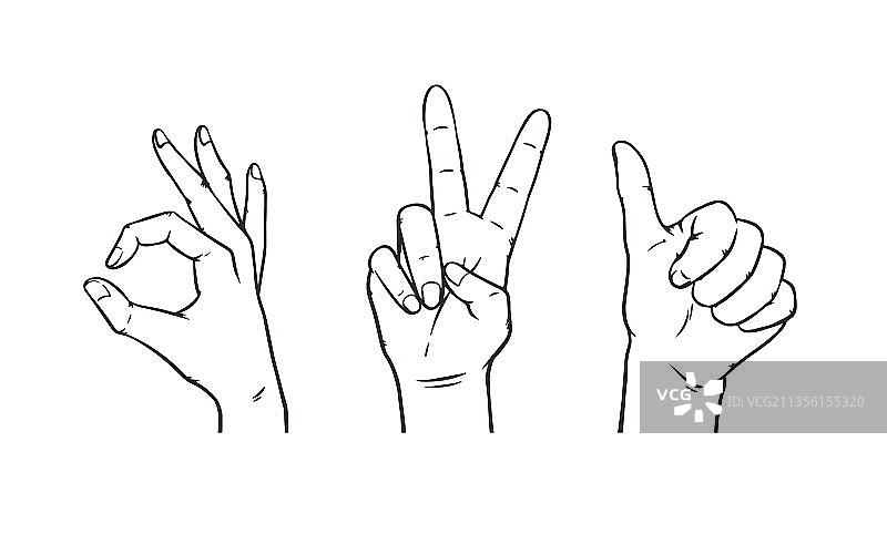 手绘手指手势矢量插画图片素材
