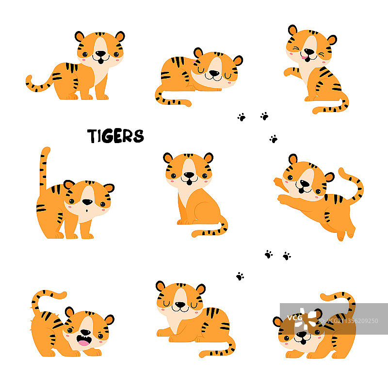 橙色毛发的可爱条纹小老虎幼崽图片素材