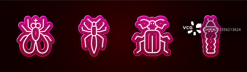 昆虫、苍蝇、蜘蛛、甲虫图片素材