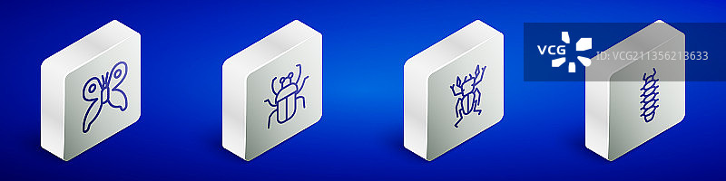 2.5D蝴蝶椿象甲虫线条图标套装图片素材