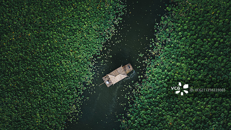 误入荷塘深处图片素材