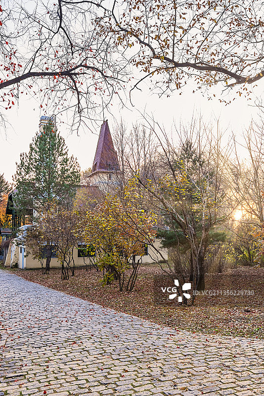 秋季夕阳下的哈尔滨太阳岛的青年之家塔楼图片素材