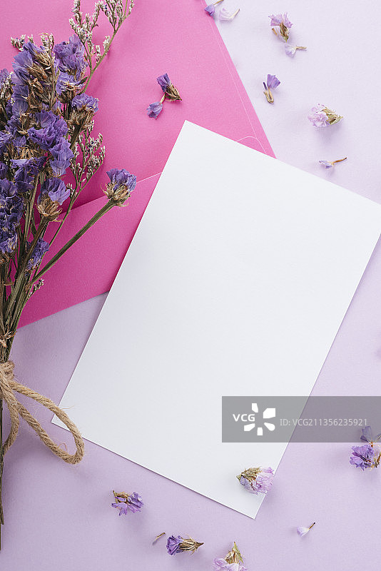 在淡粉色的背景上画上紫色的花朵。前视图。图片素材