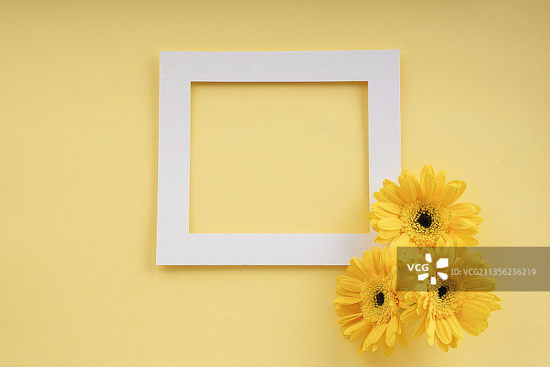模拟白色框架与向日葵和黄色背景。前视图。图片素材