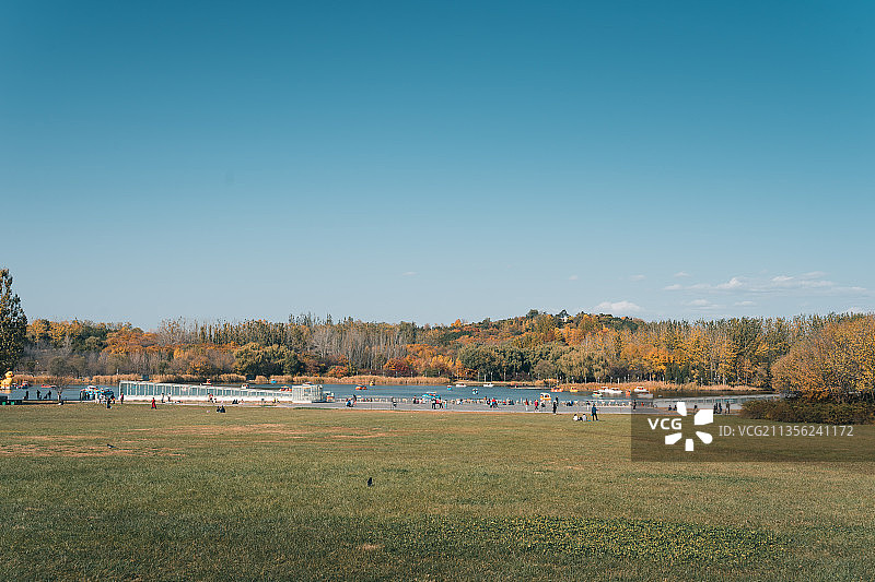 秋天的奥林匹克森林公园图片素材