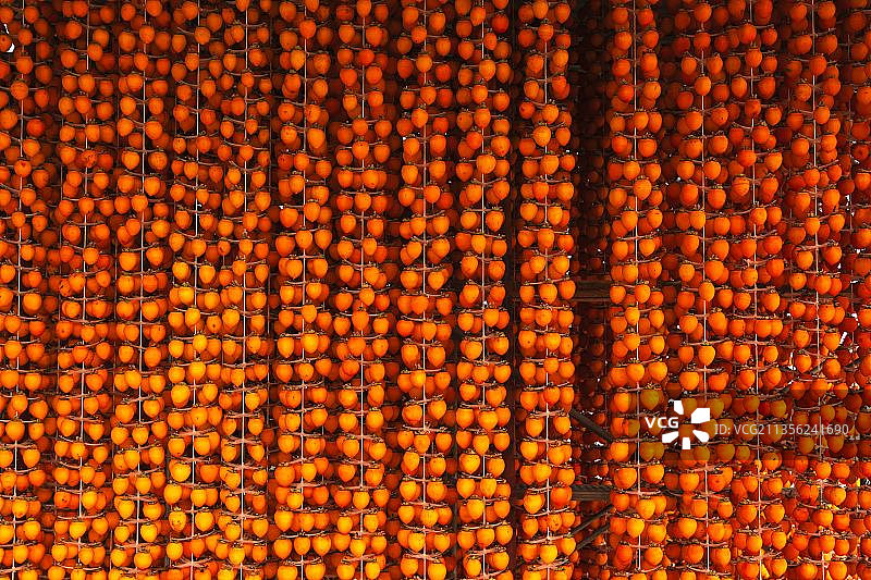 柿柿如意图片素材