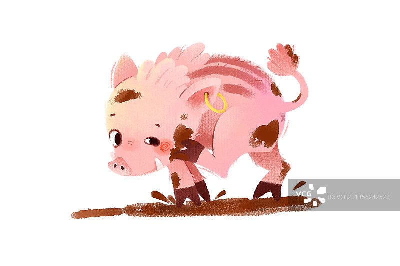 可爱动物野猪图片素材
