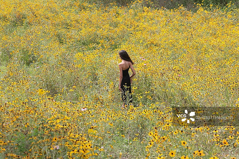 身穿黑色连衣裙的年轻女子走过肯塔基州路易斯维尔的鲜花草地图片素材
