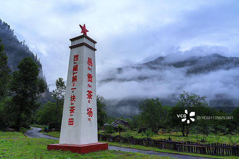 西藏林芝波密易贡茶场图片素材