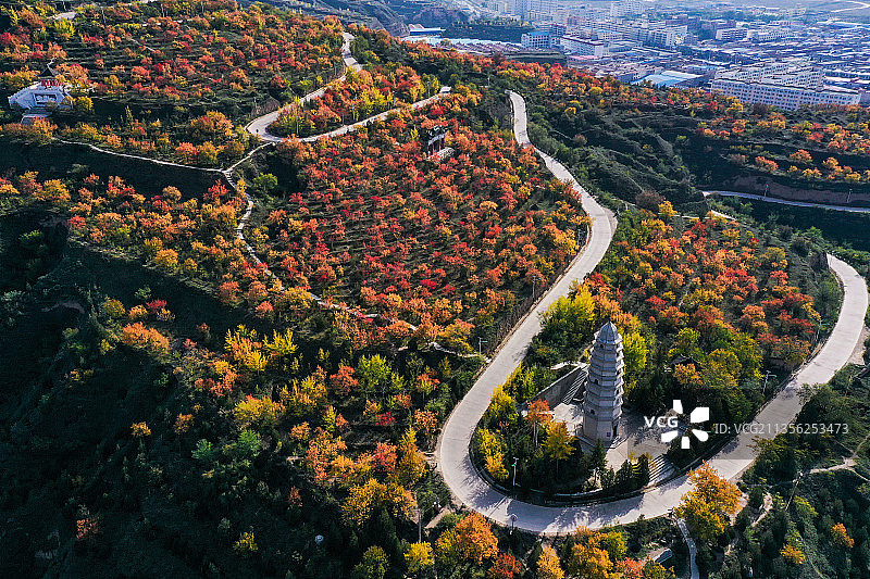 深秋桃花山图片素材