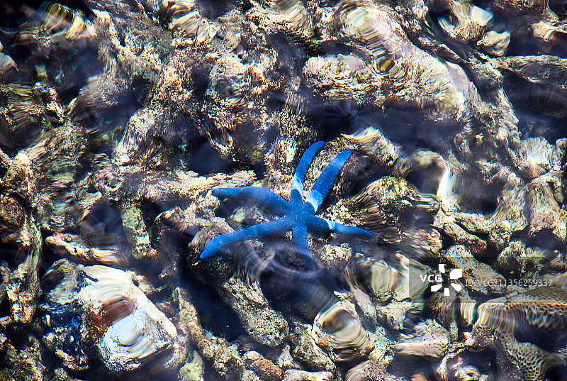 印度尼西亚托吉安群岛海景全景照片图片素材