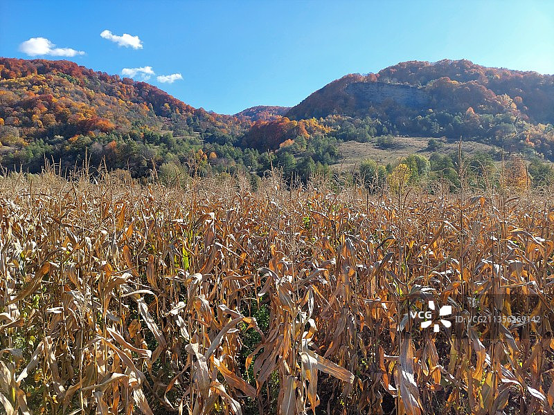 天空映衬下的田野风景图片素材