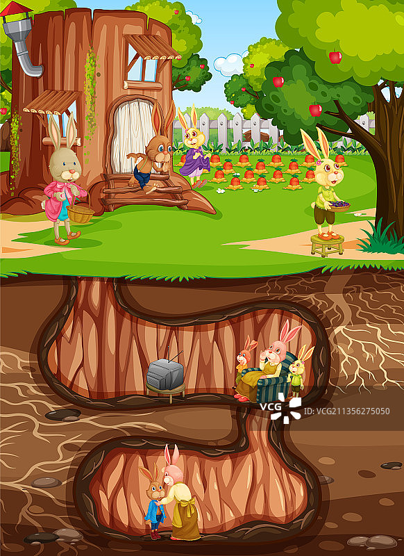 地面兔子洞穴图片素材