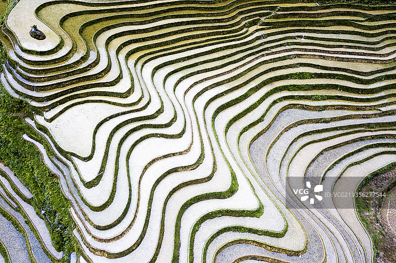 春夏时节，从江加榜梯田注满了水线条优美，色彩斑斓，美不且收。图片素材