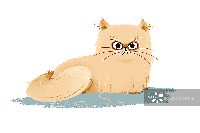 可爱动物猫图片素材