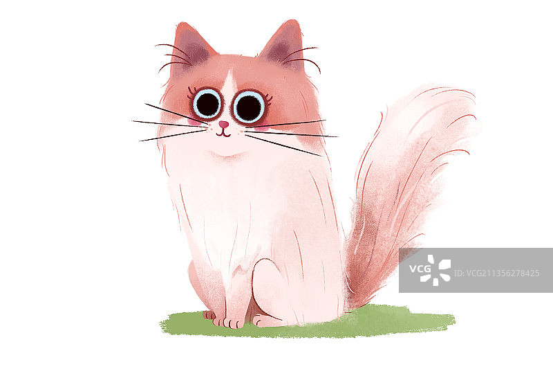 可爱动物猫图片素材