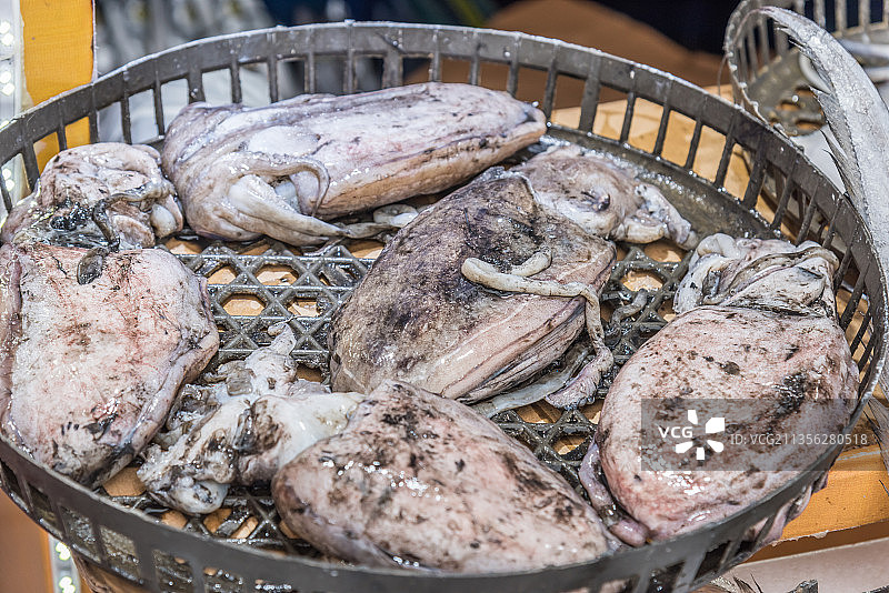 几只生的乌贼特写图片素材