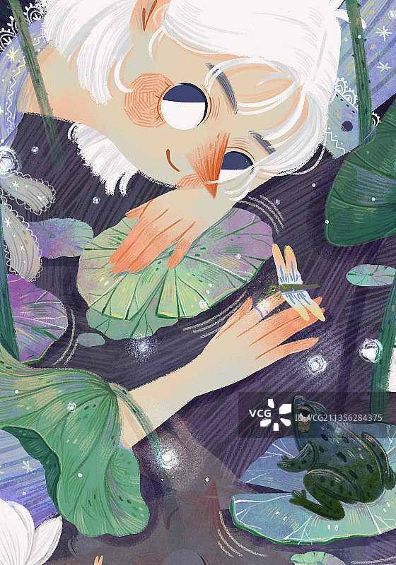 藕花深处图片素材