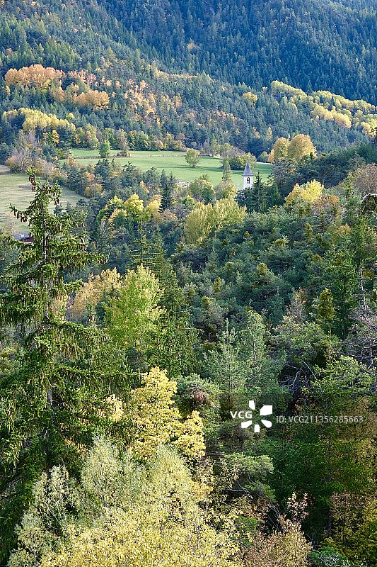 法国森林树木高角度景观图片素材