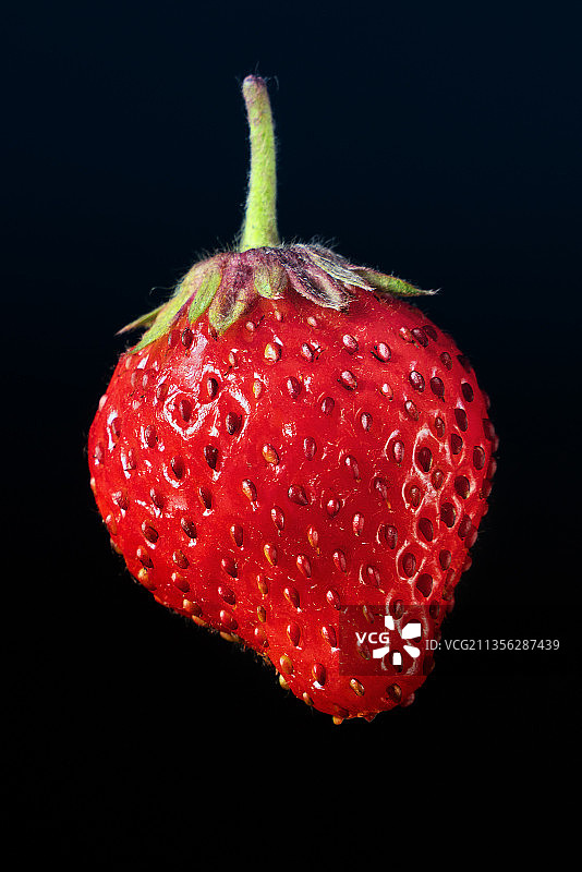 黑色背景下的草莓特写图片素材