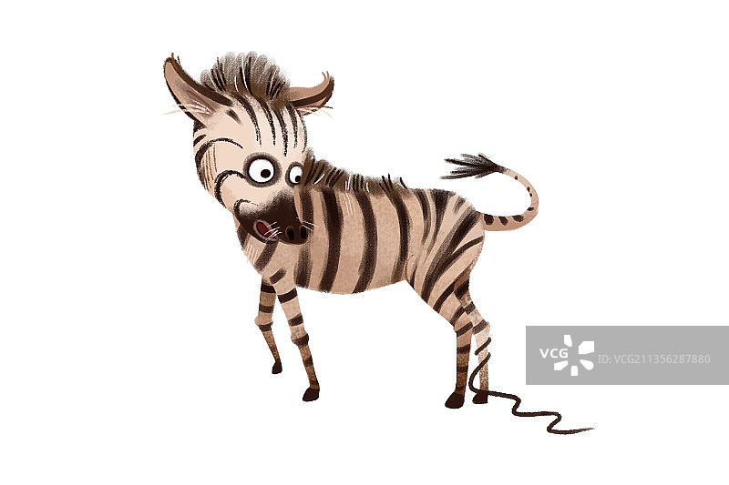 可爱动物斑马图片素材