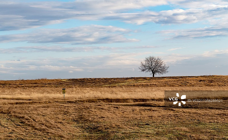 塞尔维亚德利布拉托的田野风光图片素材