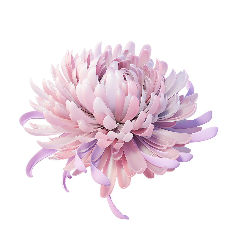 3D渲染渐变色菊花免抠元素图片素材