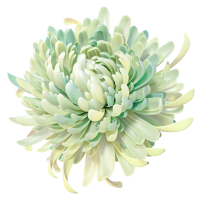 3D渲染渐变色菊花免抠元素图片素材