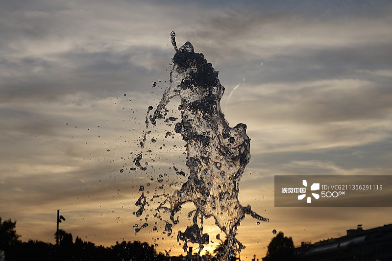 低角度的剪影的树木对天空在日落图片素材