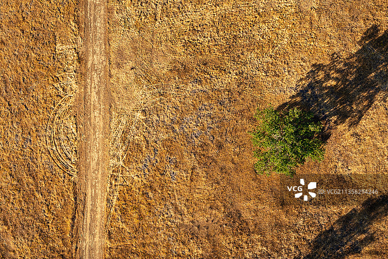美国加利福尼亚州纳帕县田野树木航拍图片素材