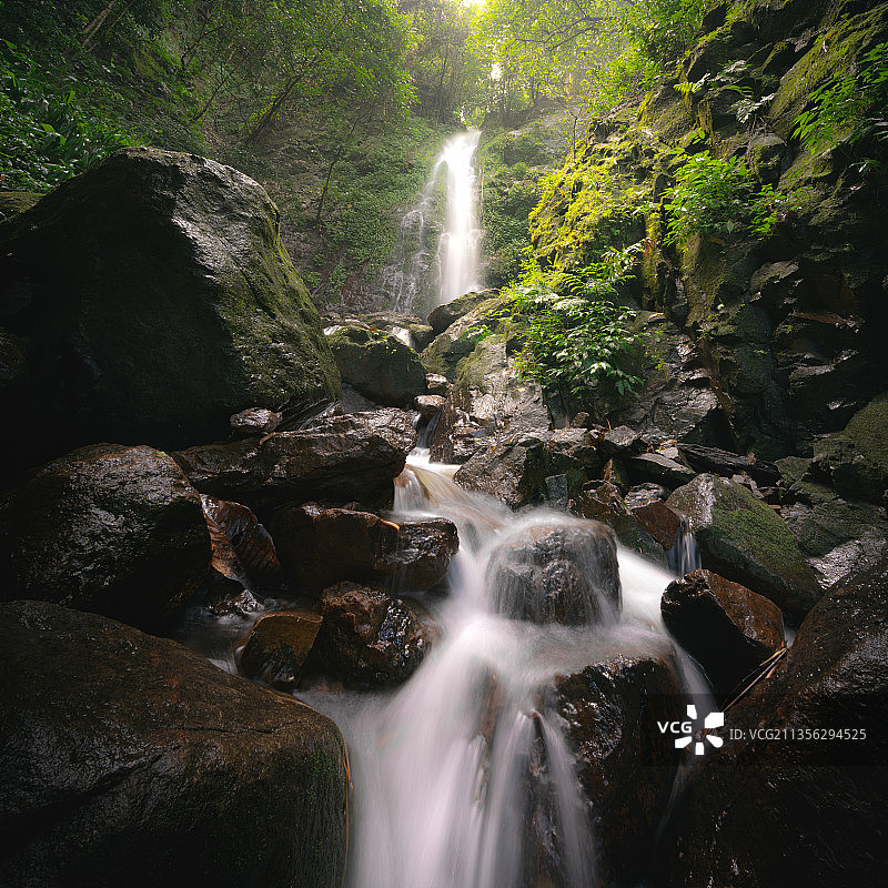 泰国森林瀑布风景图片素材