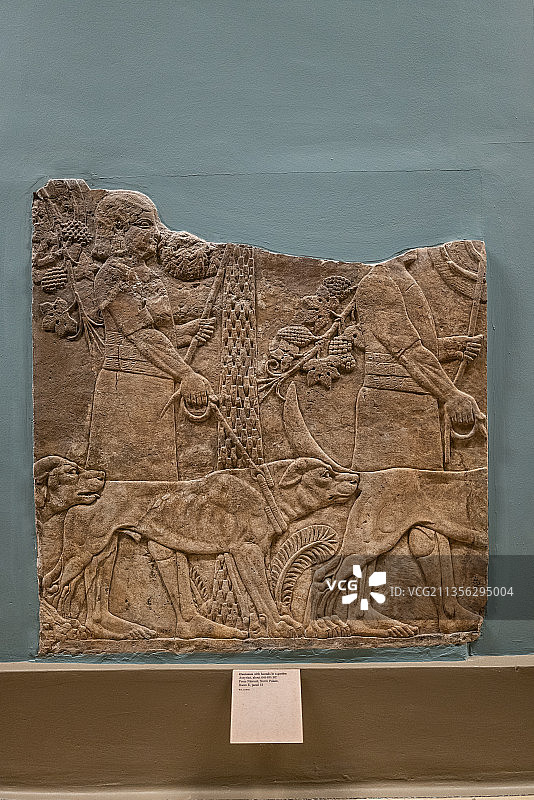 大英博物馆两河流域亚述巴尼拔猎狮浮雕图片素材