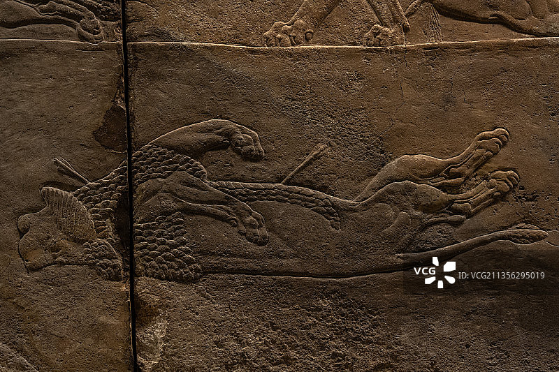 大英博物馆两河流域亚述巴尼拔猎狮浮雕图片素材