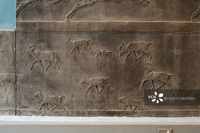 大英博物馆两河流域亚述巴尼拔猎狮浮雕图片素材