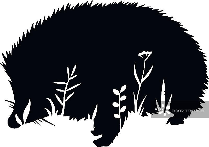 带花卉图案的刺猬模版图片素材