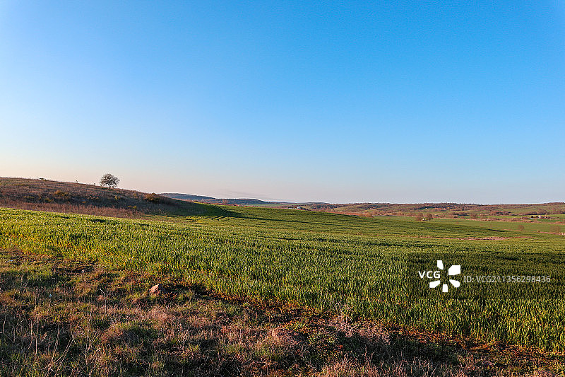 保加利亚布尔加斯伊兹沃尔的田野风光图片素材