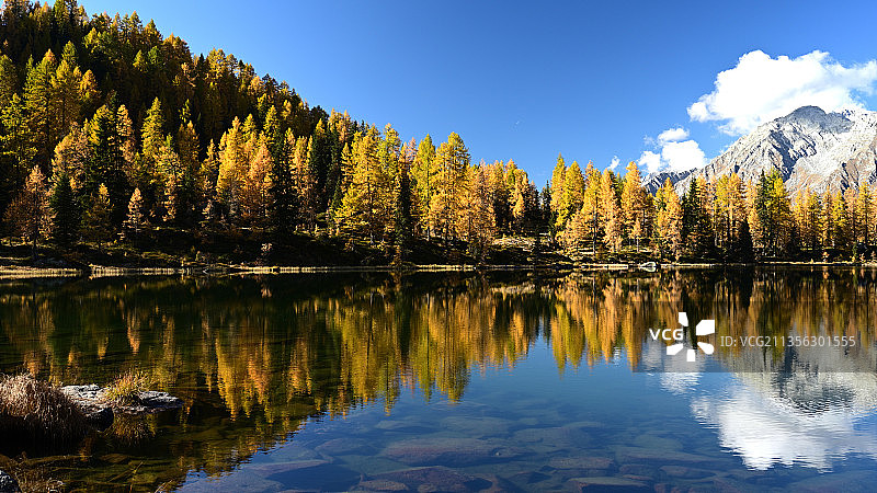 意大利特伦托卡德尔佐内圣朱利亚诺湖的树木景观图片素材