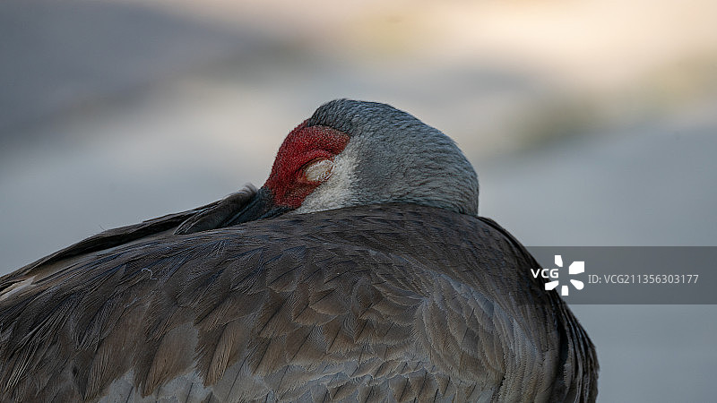 起重机特写图片素材
