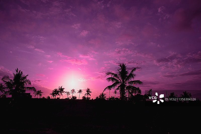 莫桑比克托福海滩日落时分以天空为背景的树木剪影图片素材